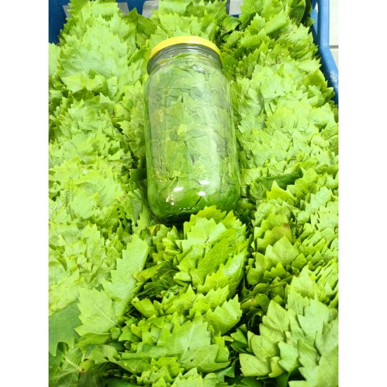 Kuru Basım Yaprak 1 Kg