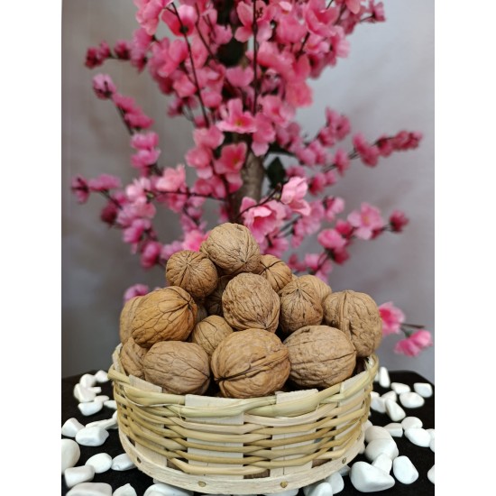 Kabuklu Ceviz 1000 Gr