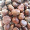 KESTANE 1 KG