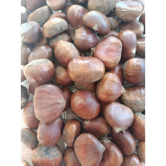 KESTANE 1 KG